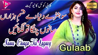 Sohnry Dunya Dy Qasmy Hazaran  Gulaab  New Saraiki Song  Live Show Multan  Malik Studio [upl. by Tniassuot936]