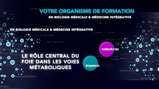 Extrait de formation  Rôle central du foie et du pancréas dans les voies métaboliques [upl. by Jamilla726]