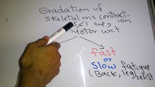 Skeletal muscle new system Gradation of Skeletal muscle contraction dr mohamed fayez [upl. by Sined199]