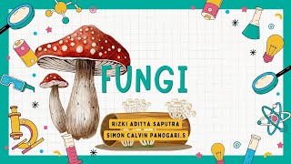 Belajar Tentang Fungi Fakta Menarik dan Perannya🍄 [upl. by Hplodnar]