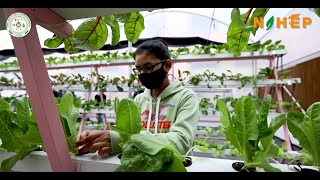 Pantnagar Hydroponic and Aeroponic Unit [upl. by Kaufman]