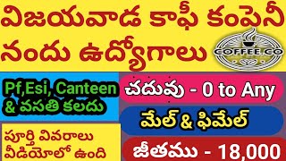 Vijayawada Coffee Company Lo Udyogaavakaasalu  0 To Any Qualification Jobs  Male And Female Jobs [upl. by Sanger434]