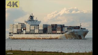 SAFMARINE BENGUELA  Shipspotting Germany 🇩🇪 IMO 9355367  River Elbe near City Otterndorf 4K VIDEO [upl. by Nauqram]