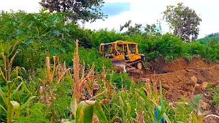 D6r XL Bulldozer Operator Expanding Plantation Roads in Extreme Hill Areas FULL VERSION [upl. by Lerred]