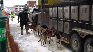 And they re ruff Thrills at World Championship Sled Dog Race [upl. by Lukin]