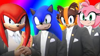 Knuckles the Echidna amp Sticks the Badger amp Amy Rose amp Sonic the Hedgehog Coffin Dance Song Cover [upl. by Kreis]