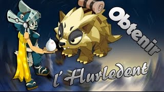 Dofus Obtenir lHurledent de A à Z [upl. by Ratha]