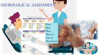 NEUROLOGICAL ASSESSMENT [upl. by Seavir]