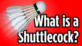 What Is a Shuttlecock  Badminton Lessons [upl. by Dust]