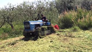 Landini 6500 trinciatura 2013 [upl. by Alroi278]