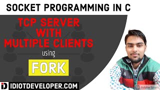 Multiple Client Server Program in C using fork  Socket Programming [upl. by Airekahs]