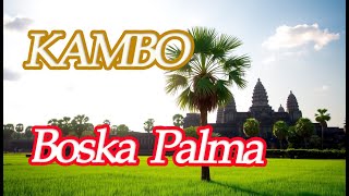 KAMBO Boska Palma [upl. by Trometer]