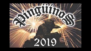 PINGÜINOS 2019 VALLADOLID CONCENTRACIÓN [upl. by Emse439]