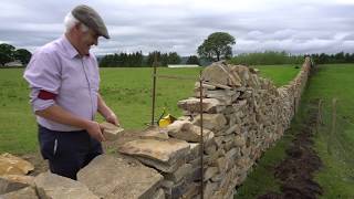 Patsy McInaw  Dry Stone Wall Building [upl. by Timi356]