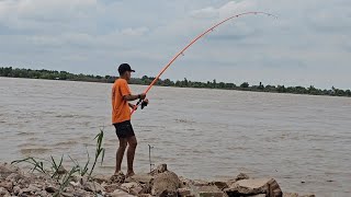 3 DIAS DE PESCAFIESTA DEL quotSURUBIquotPESCA EN EL PUERTO DE RAMALLO Y COSTA POBRENICO REYNOSO [upl. by Hamner]