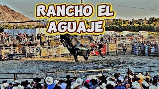 RANCHO EL AGUAJE Y EL TORO G63 DIERON UN JARIPEO DE LUJO EN PERIS CALIFORNIA ¡¡🦬🤠🧨🧨 [upl. by Fisch]