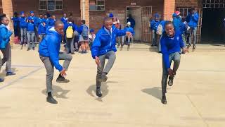 The Best Amapiano Dance of 2023 [upl. by Milano]