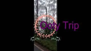 Our Ooty Trip nature ksrtcphotography travel ootytrip love [upl. by Tallbot189]