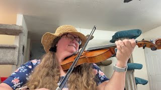 Day 3 a month of fiddle waltzes  Tombigbee Waltz [upl. by Nazus551]