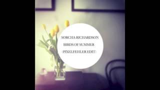 Sorcha Richardson  Birds of Summer Pixelfehler Bootleg [upl. by Hsak]