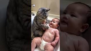 Cat becomes babys mother😱👧🏻 trending comedy tryneverfail [upl. by Werda]