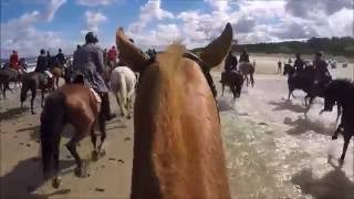 Usedom Cross Country 2015 Tag 2  Reiten am Strand von Usedom [upl. by Powder]