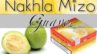 Nakhla Mizo Guave  ShishaStabil [upl. by Aalst]