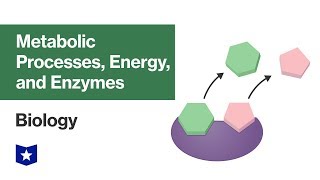 Metabolic Processes Energy and Enzymes  Biology [upl. by Cletis]