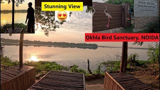 Totally Amazed Unexpected Views😍🤩  Okhla Bird Sanctuary NOIDA [upl. by Acima524]