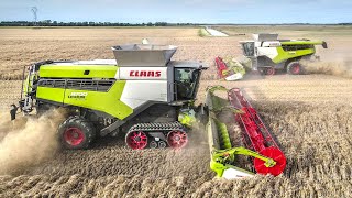 2X CLAAS 8700TT à laction en FRANCE  2021 HARVEST [upl. by Ynos]