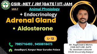 Physiological Effects of Aldosterone  Adrenal gland Animal Physiology genesisinstitute [upl. by Stickney]