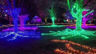 벤두센 빛 축제 VanDusen Festival of Lights 벤두센 식물원 VanDusen Botanical Garden Vancouver 캐나다 231126 [upl. by Mansfield871]