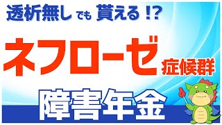 【質問回答】ネフローゼ症候群は障害年金を受給できるのか？社労士の探し方も解説！ [upl. by Rahman]