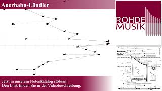 AuerhahnLändler  Hörbeispiel Tutorial Harmonieharfe VeehHarfe Zauberharfe  Rohdemusikde [upl. by Platas]