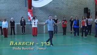 Barech  Dudu Barzilay  Dance ברך [upl. by Wonacott]