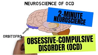 2Minute Neuroscience ObsessiveCompulsive Disorder OCD [upl. by Nekciv]