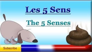 Learn French  Vocabulary Lesson  The Five Senses les cinq sens [upl. by Gae]