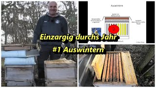 Einräumig durchs Jahr 1 Auswintern [upl. by Teena]