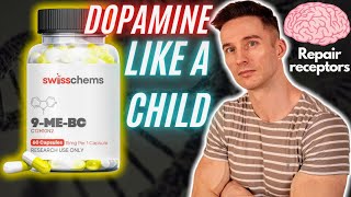 Secret Supplement For Boosting Dopamine 9MEBC Nootropic Review [upl. by Hainahpez]