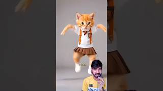 Cat dancing bike driving cat cattos funny catee catie cute dance catlette [upl. by Snashall]