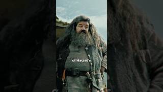 Hagrid Was Played By Two Actors Heres How 🧙‍♂️ [upl. by Emelin]