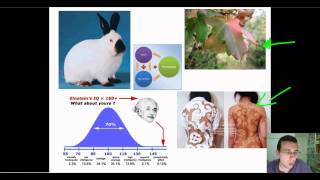 Advanced Classical Genetics Part 3 Genetic Relationships Part 2 [upl. by Neiht]