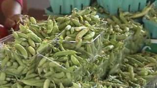 Preparing Edible Podded Peas with The Produce Lady [upl. by Rahab]