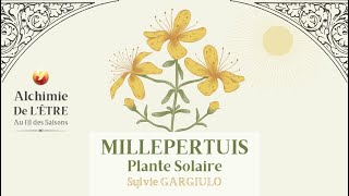 MILLEPERTUIS  PLANTE SOLAIRE AUX MILLE VERTUS extrait quotAlchimie de lÊtre au fil des Saisonsquot [upl. by Abott]