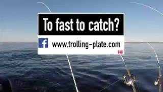 Wise Trolling plate Trolling Masters Bornholm 2017 TMB2017 [upl. by Pip]