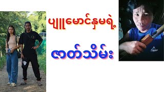 ပျူမောင်နှမရဲ့ ဇာတ်သိမ်း [upl. by Malvia]