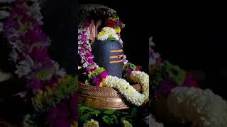 Sachet parampara bholenath status  Mahadev Status  4k full screen Whatsapp Status Video Telugu 1k [upl. by Arrec]