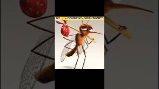 Why Mosquitoes Bite 😱 Most Dangerous Insect in The World  MOSQUITO  shorts short [upl. by Sirad]