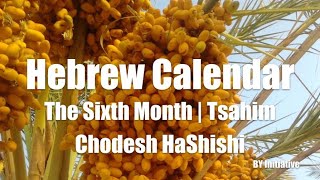 Hebrew Calendar  The Sixth Month  Tsahim  Chodesh HaShishi [upl. by Suiluj]