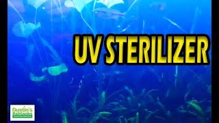 How To Use A UV STERILIZER Planted Tank [upl. by Demetra]